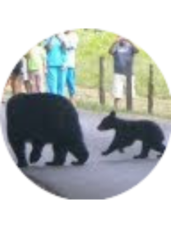 Photo of Kathy Bates