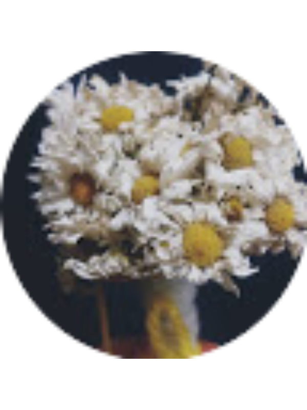 Photo of Esma Azaklı