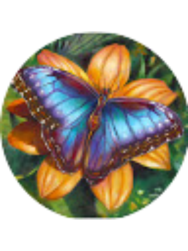 Photo of Nuray Jabbarli