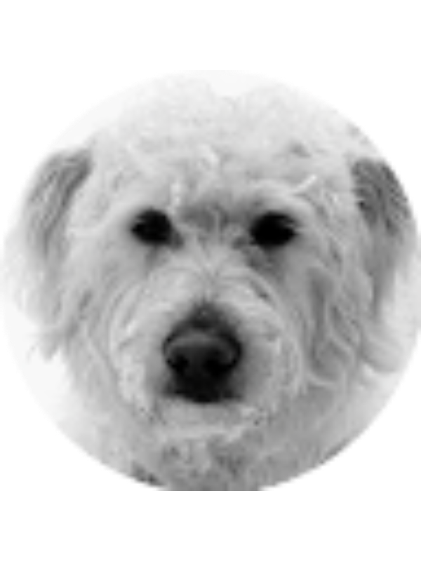 Photo of Kayla Keefer