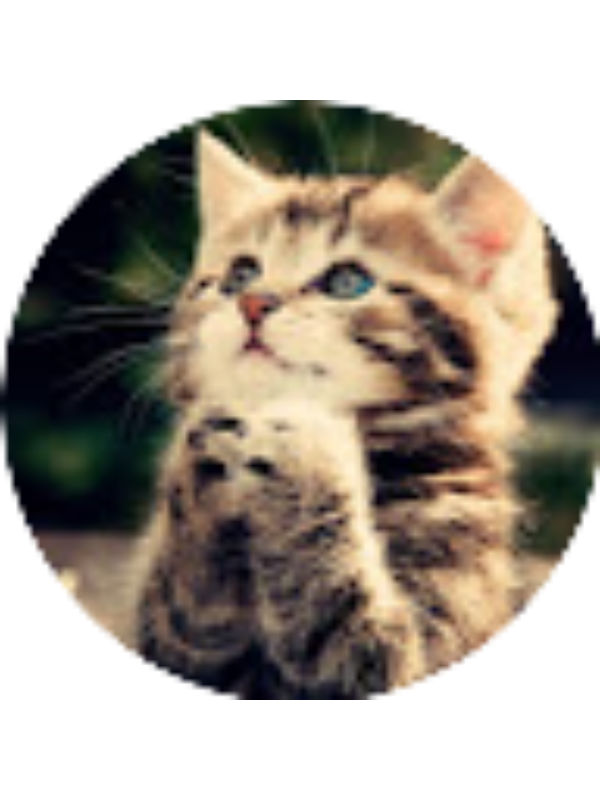 Photo of Hannah Brizuela