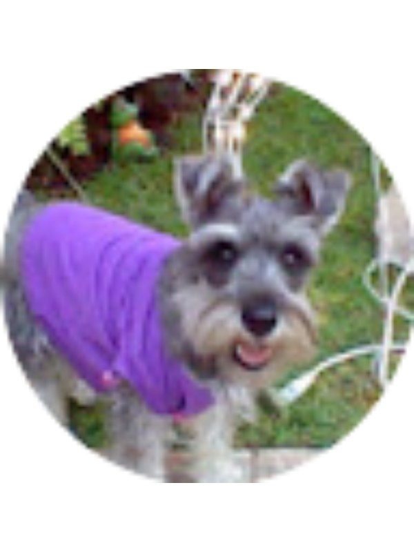 Photo of Mister Crazy