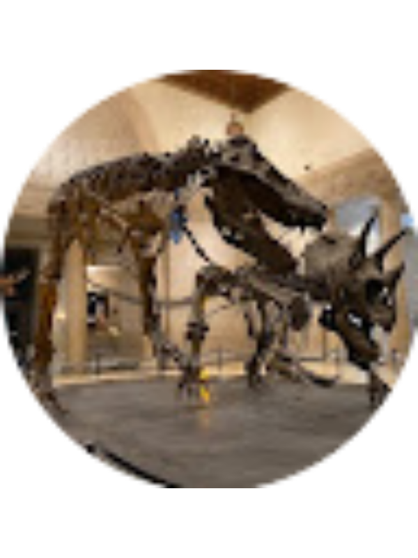 Photo of Orlando Garcia [STUDENT]