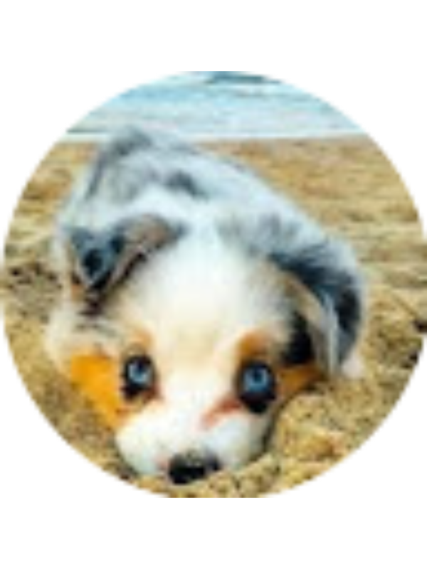 Photo of Adele Moffatt