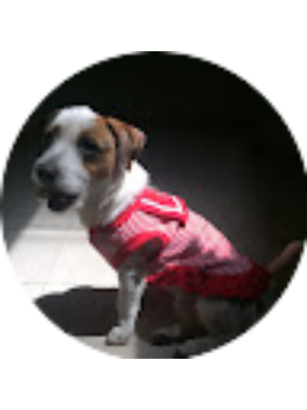 Photo of Analia Cardenas