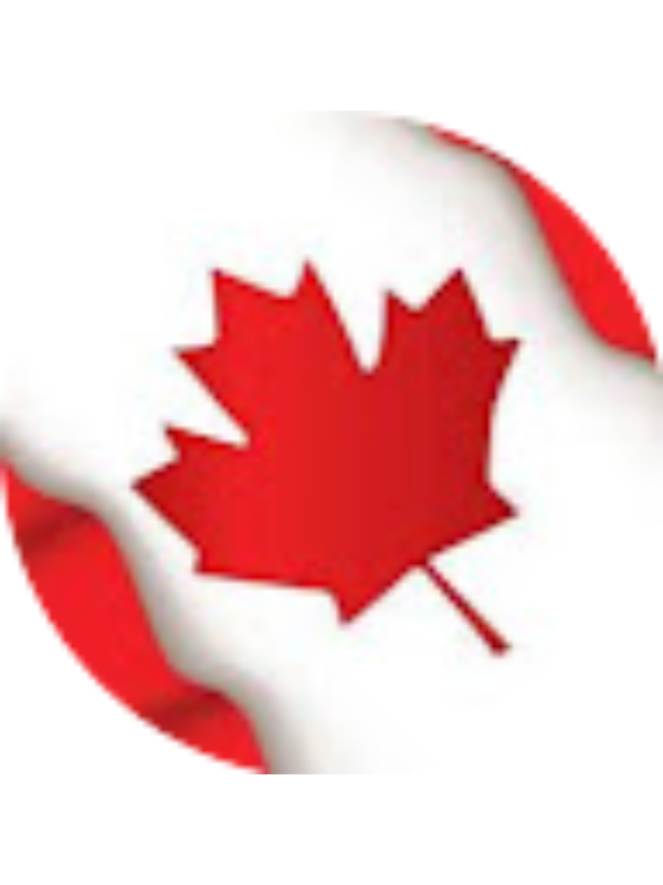 Photo of Noor-Ul-Irfan Rabbani