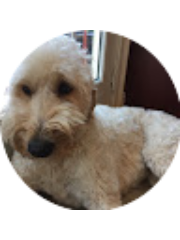 Photo of Leon Braganza