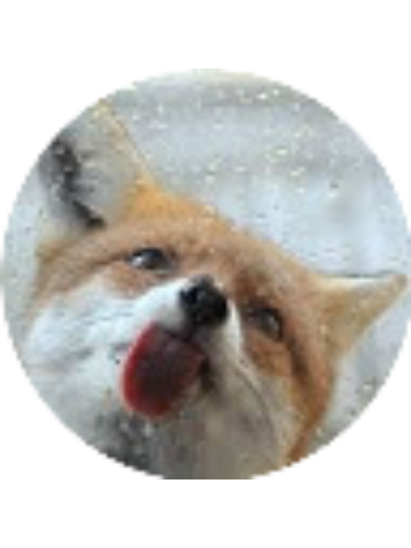 Photo of Diana Vasconcelos