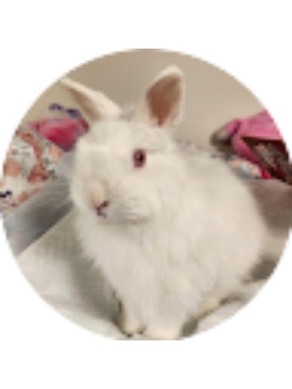 Photo of Leia Gallego-Calle