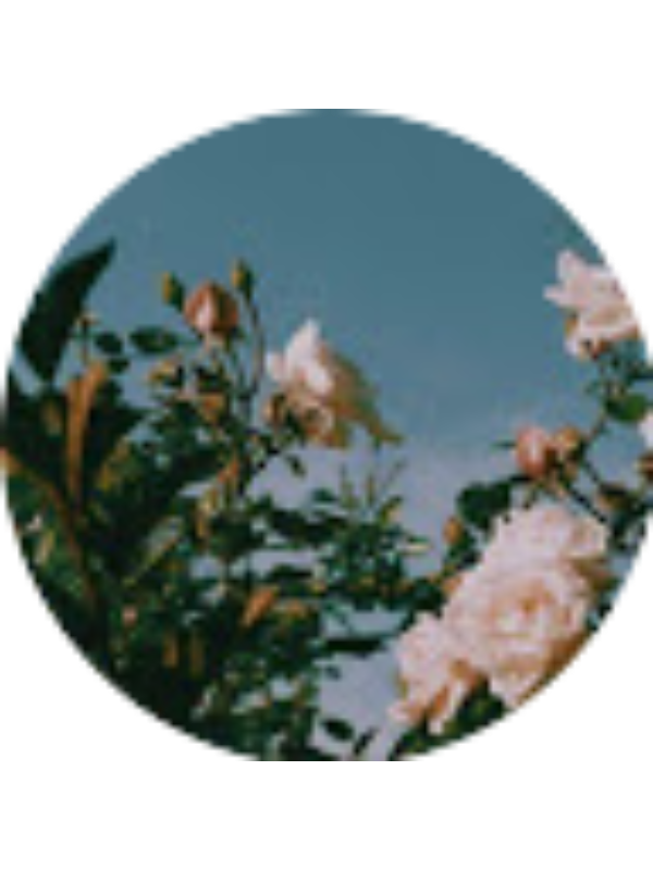 Photo of 2020Samantha B813