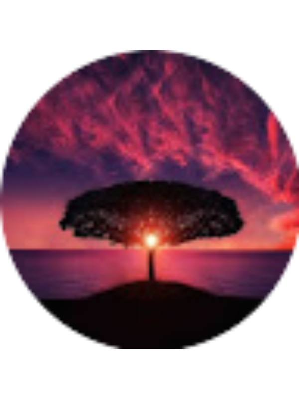 Photo of ELISSA WOOD