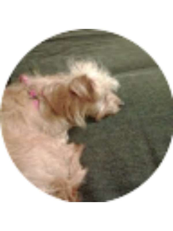 Photo of Haylee Jones