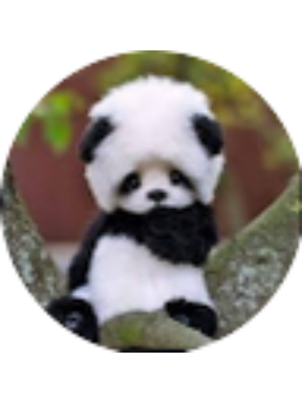 Photo of Alice Quintanares (Student)