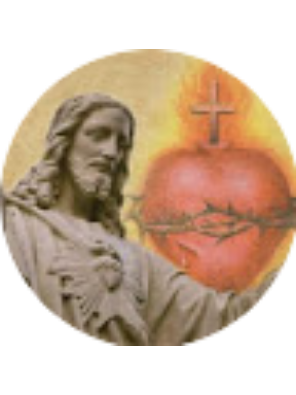 Photo of Isabel Campos Navarrete