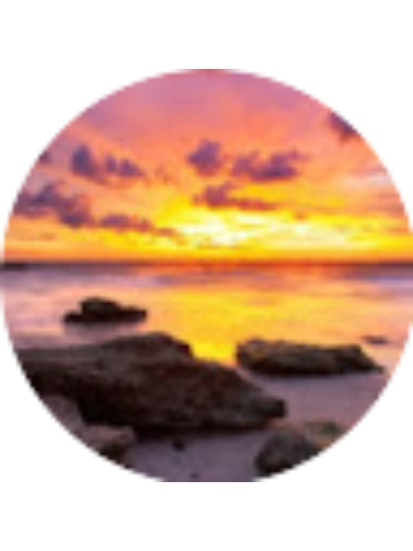 Photo of Bridget Boyle