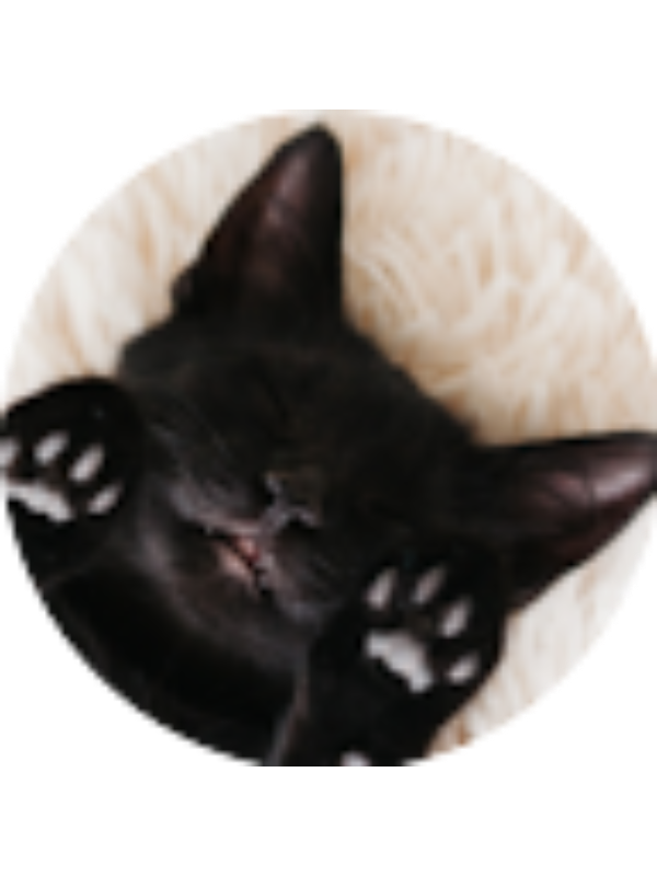 Photo of Nova Kuznetsova (student)