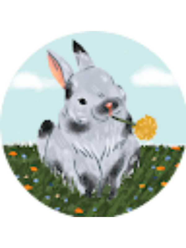 Photo of Kristen Taylor