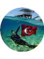 Picture of Ahmet berk Tekin