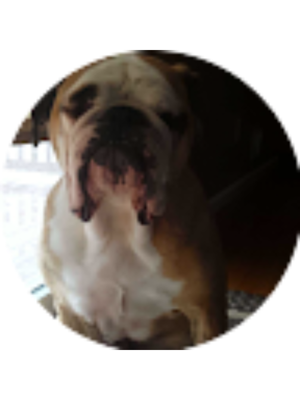 Photo of Jake Laucks