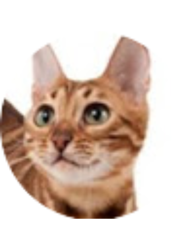 Photo of Jasmine Alpert