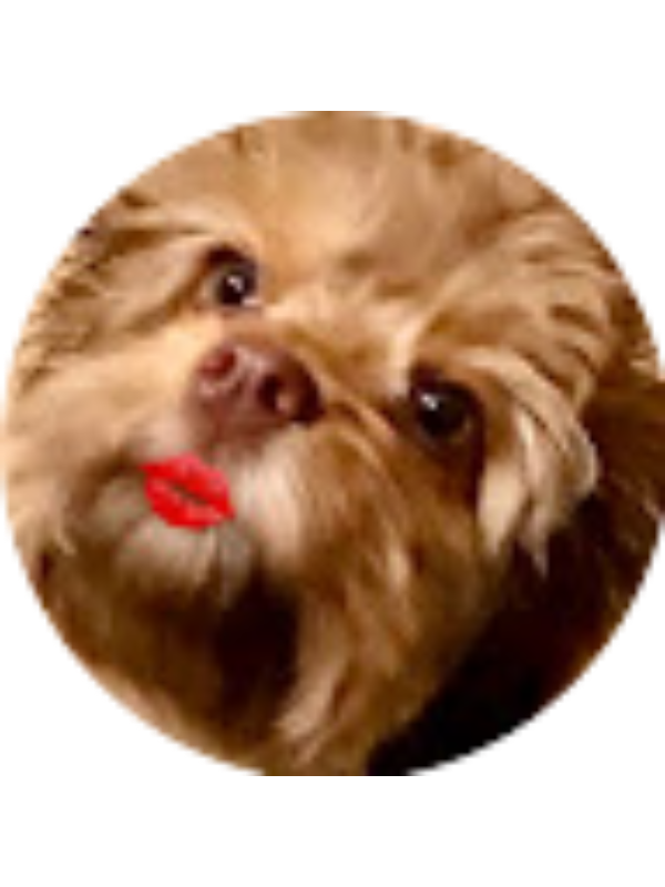 Photo of Avery Gainey