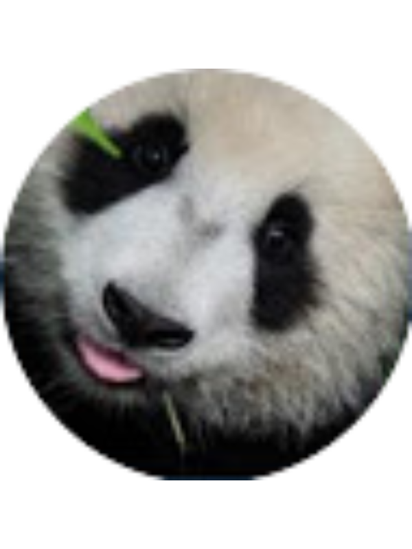 Photo of ღSusarøloღ 1