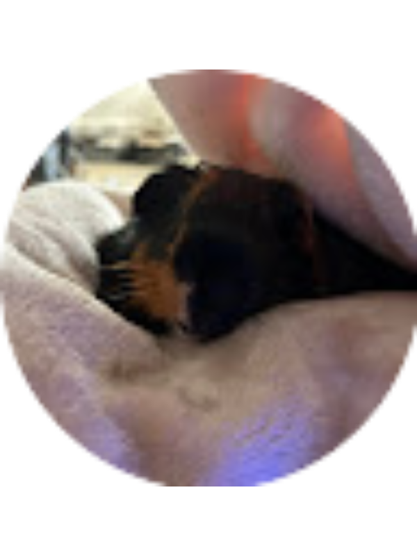 Photo of Brenda Mendez