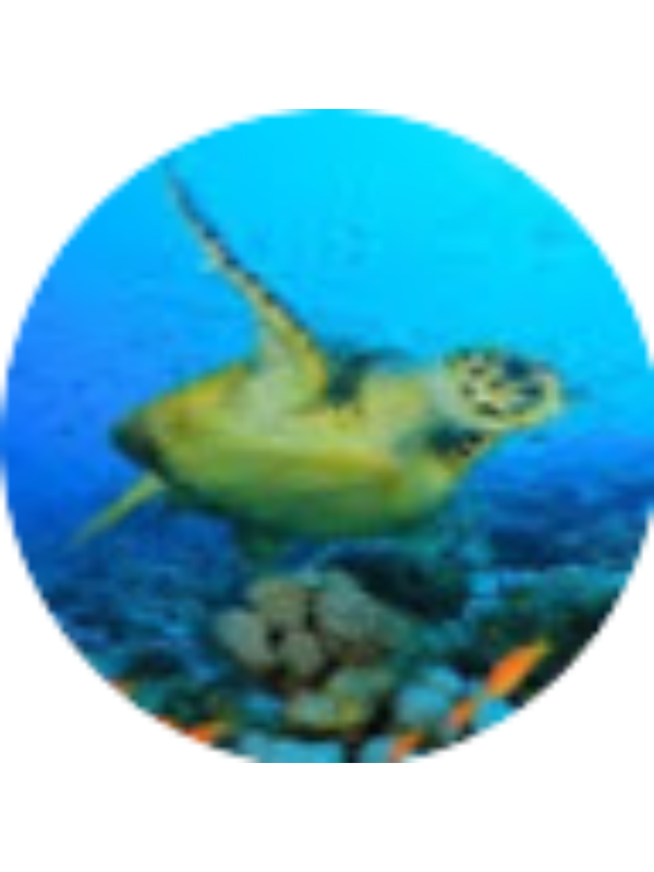 Photo of ADRIANNA FULTON