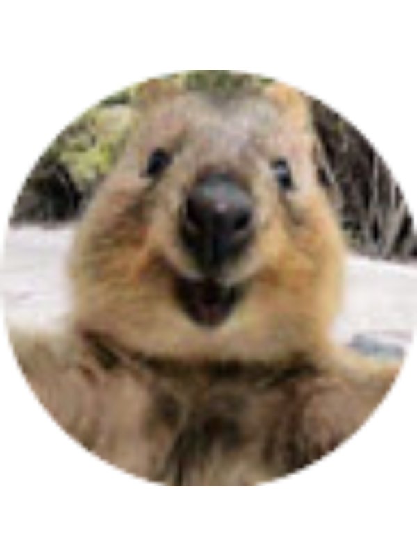 Photo of Adrian Treen