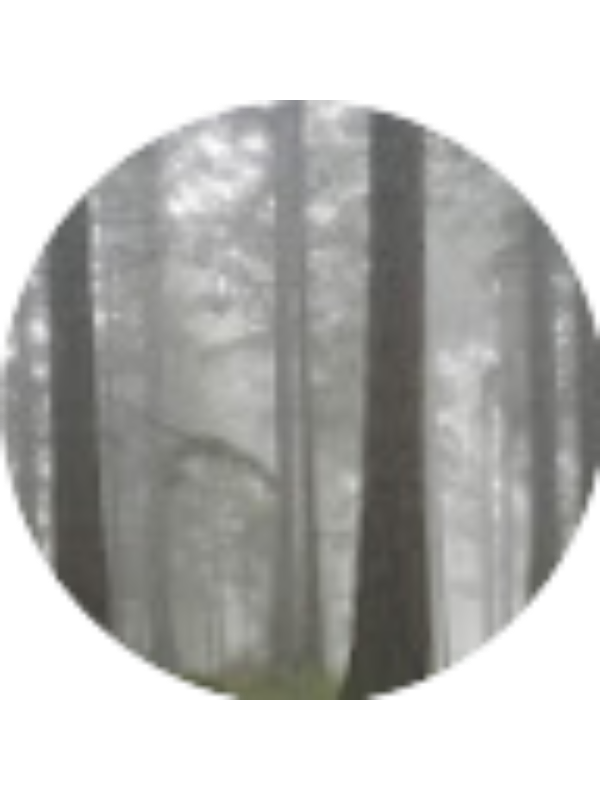 Photo of Reşat &Ouml;zbay