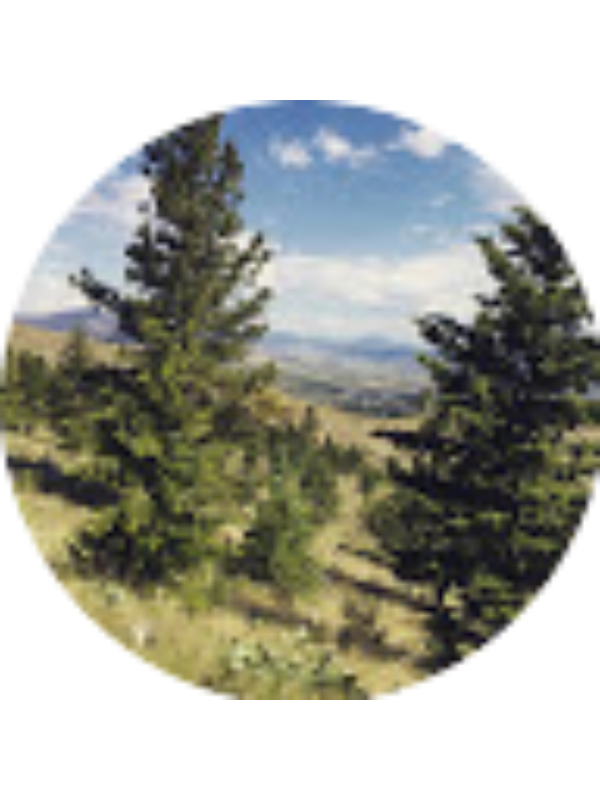 Photo of Rylee Poepping