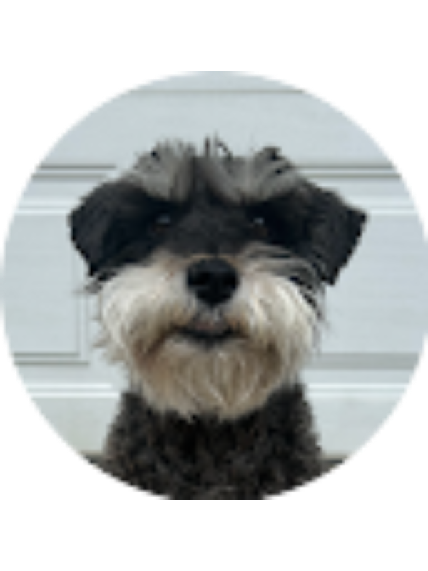 Photo of Cailin Ballenger