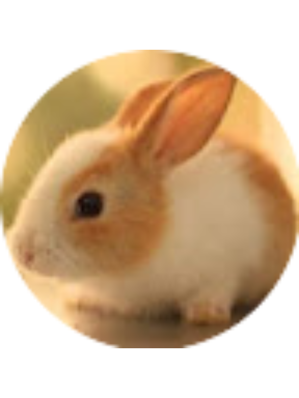 Photo of Jingyi Fu _ Student - GreenHopeES