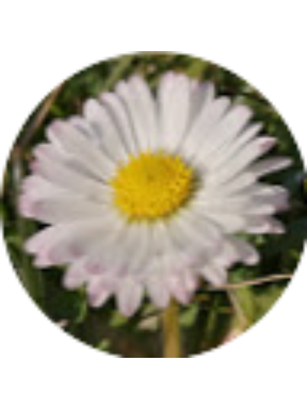 Photo of Magdalena Mrzygł&oacute;d