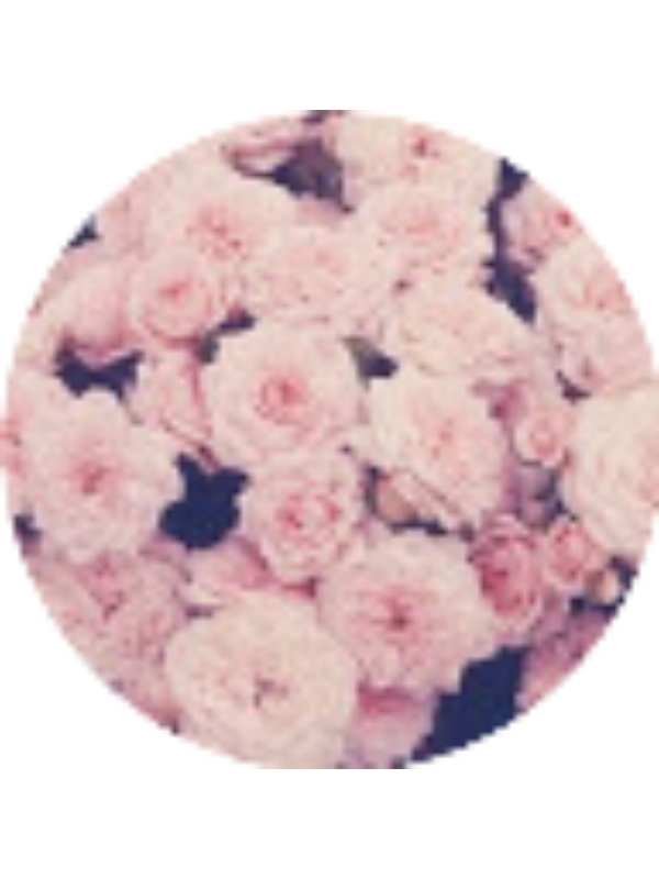 Photo of Molly Lavelle