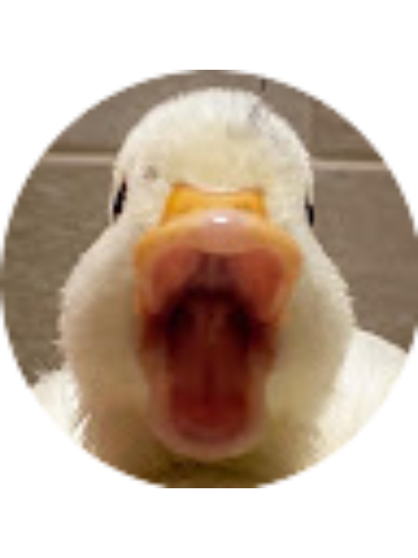 Photo of Chency Hung