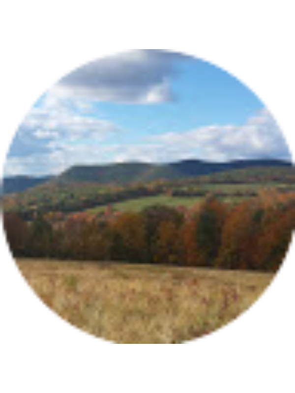 Photo of Laura Pollak