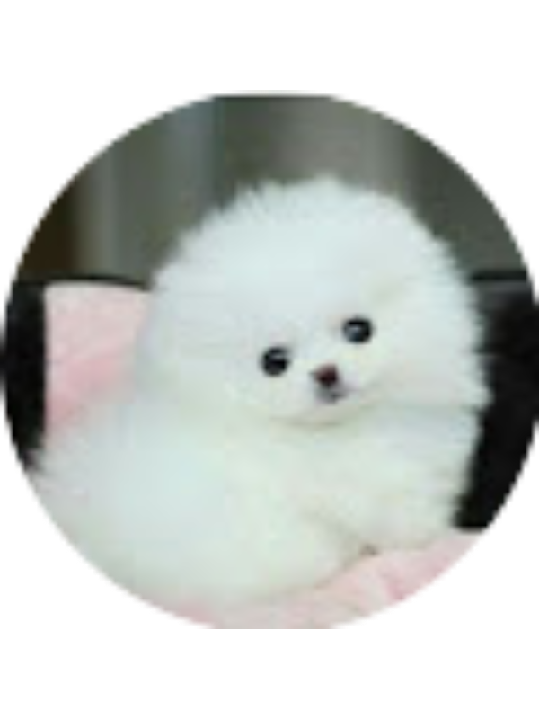 Photo of Khadija Ahmed