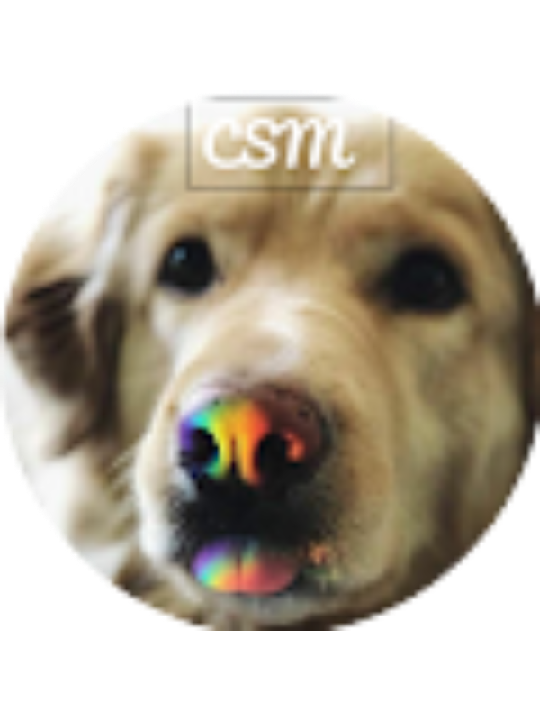 Photo of Chaya Manchikalapati