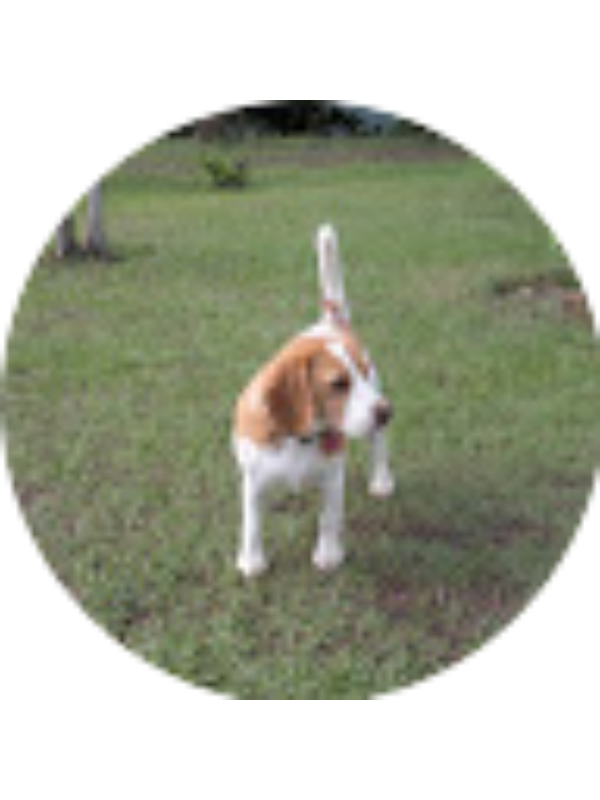 Photo of Angie Gomez