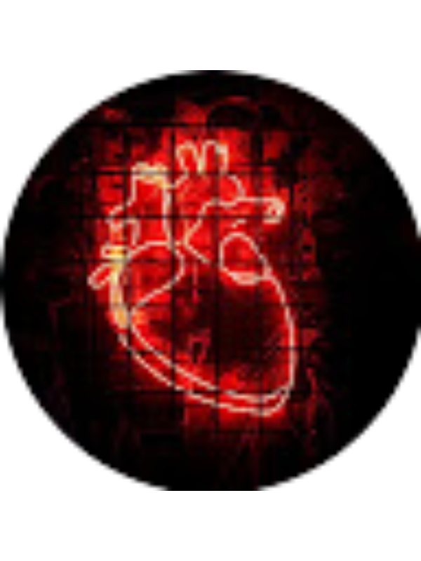 Photo of Danna Urbina Castillo