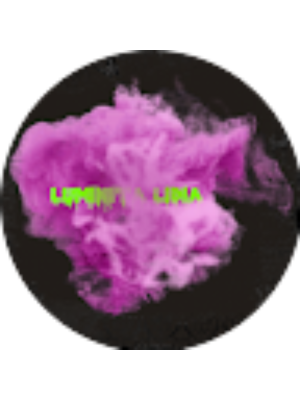 Photo of Luminița Lidia