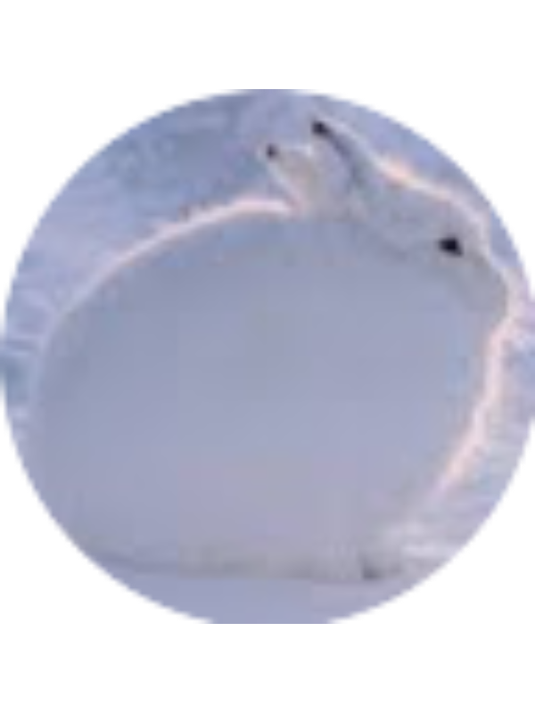 Photo of Jazmin Delk