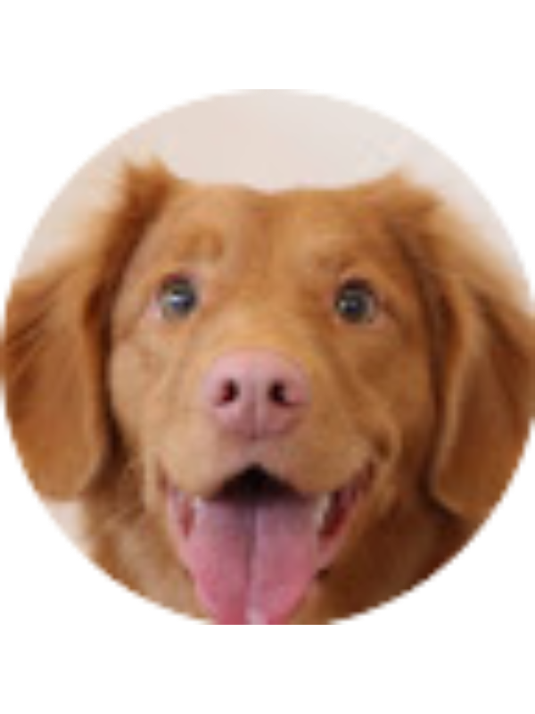 Photo of Calista Eschliman