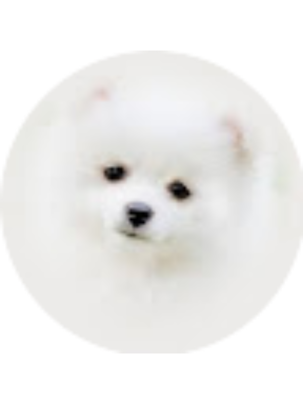 Photo of Esmeralda Barron Estrada