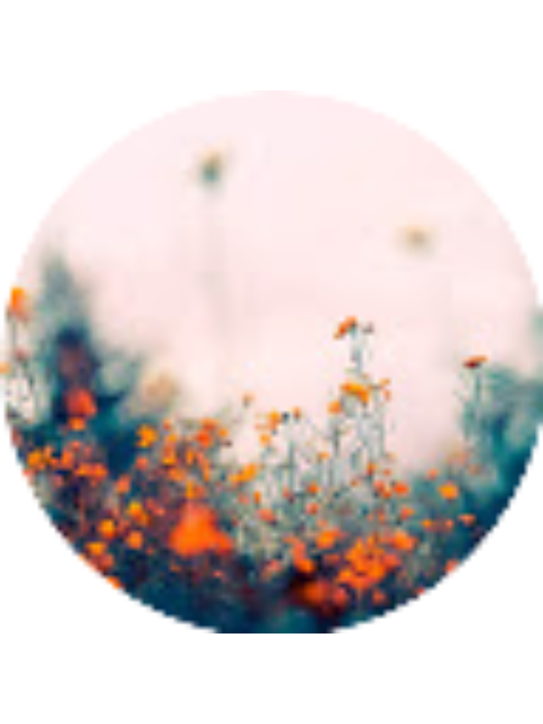 Photo of Ella Saffran