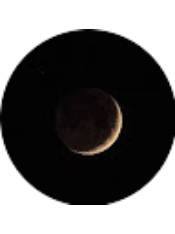 Photo of Lucienne Timmer