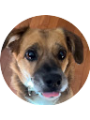 Picture of Zoe Adkins
