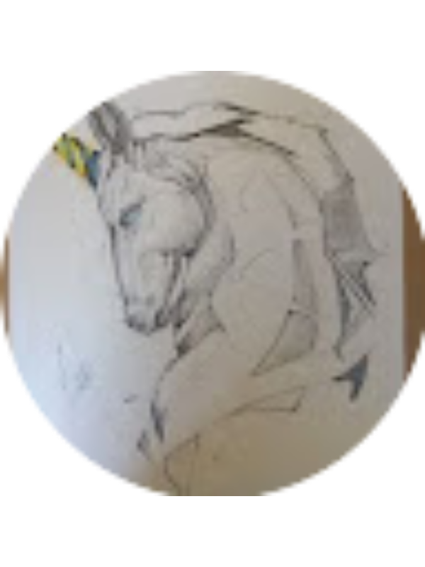 Photo of Juan Camilo Chavez Porras