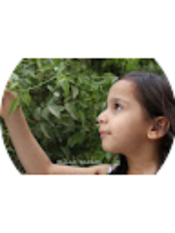 Photo of Amina Saeed